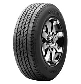 Roadian HT LTV